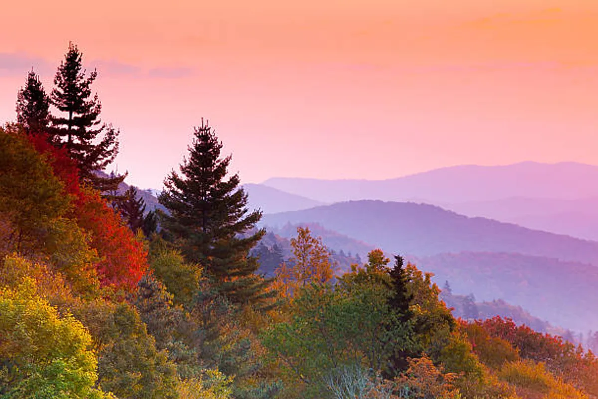 A panoramic vista of rolling mountain ranges and colorful autumn foliage, with silhouetted trees framing the view. The scene invites thoughts of hiking, photography, and connecting with nature.
